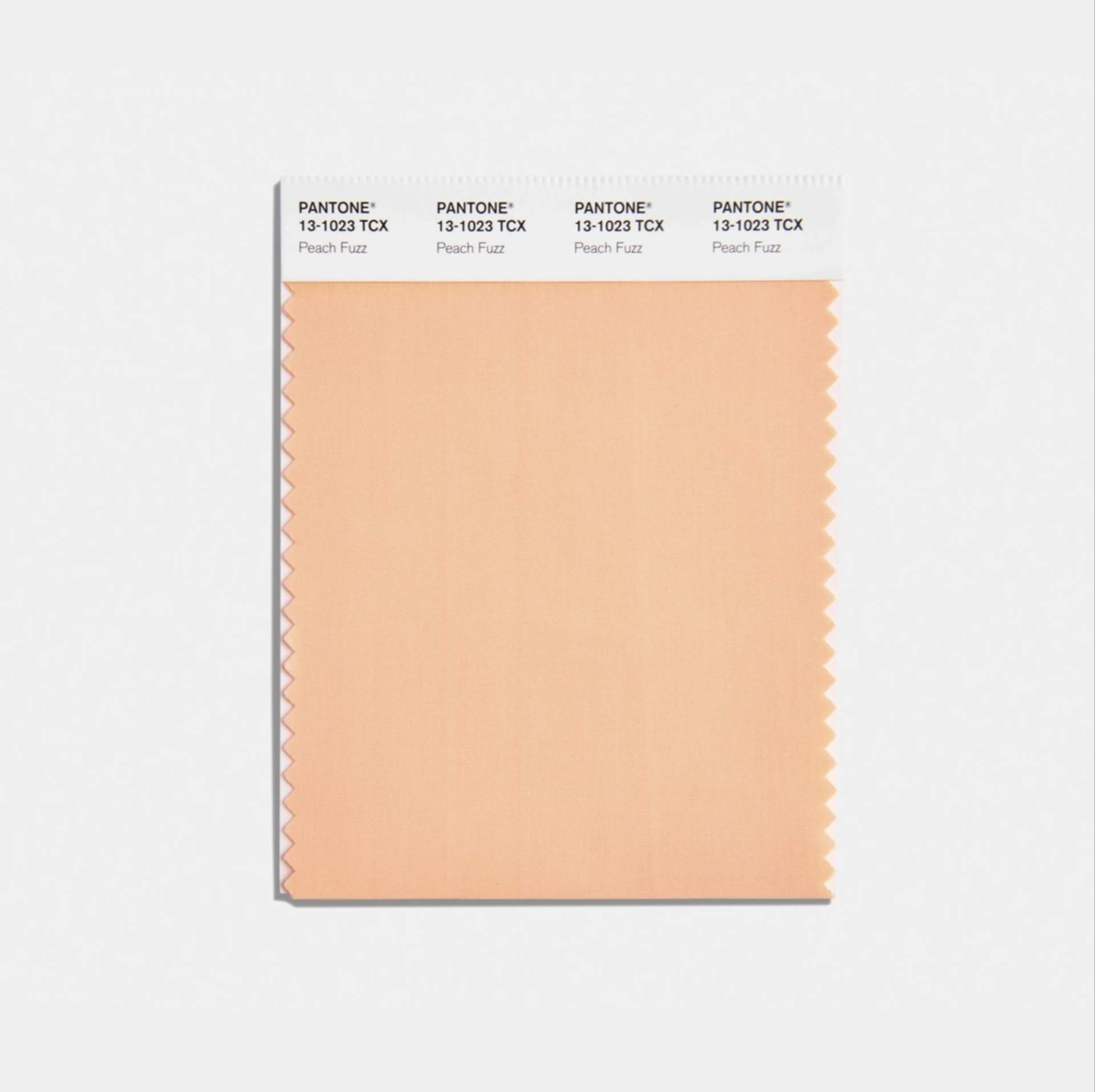 COTTON SWATCH CARDS, PANTONE COLOR OF THE YEAR 2024