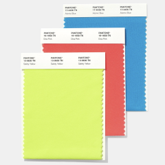NYLON BRIGHTS SWATCH CARD