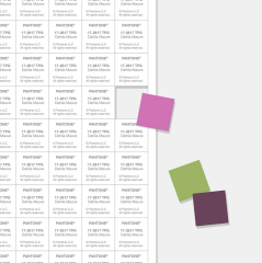 LARGE PAPER SWATCH (TPG SHEETS)