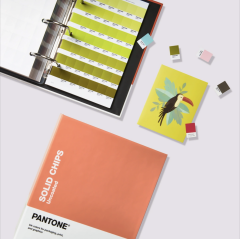 TPG PANTONE SOLID CHIPS | COATED & UNCOATED