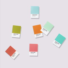 TPG PANTONE SOLID CHIPS | COATED & UNCOATED