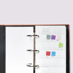 TPG PANTONE SOLID CHIPS | COATED & UNCOATED