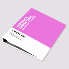 PASTELS & NEONS CHIPS | COATED & UNCOATED
