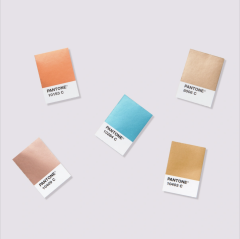 METALLIC CHIPS BOOK
