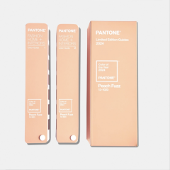 TPG COLOR GUIDE, LIMITED EDITION COLOR OF THE YEAR 2024