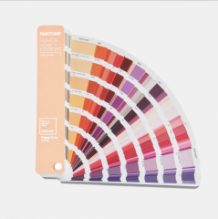 TPG COLOR GUIDE, LIMITED EDITION COLOR OF THE YEAR 2024