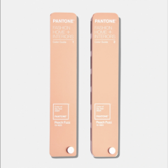 TPG COLOR GUIDE, LIMITED EDITION COLOR OF THE YEAR 2024