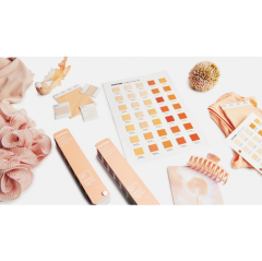 TPG COLOR GUIDE, LIMITED EDITION COLOR OF THE YEAR 2024