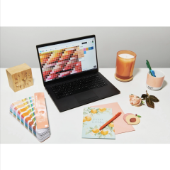TPG LIMITED EDITION PANTONE COLOR OF THE YEAR 2024