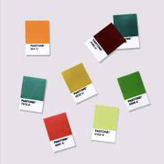 TPG PANTONE SOLID CHIPS SUPPLEMENT | COATED & UNCOATED
