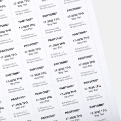 LARGE PAPER SWATCH (TPG SHEET) - PANTONE COLOR OF THE YEAR 2022 17-3938TPG