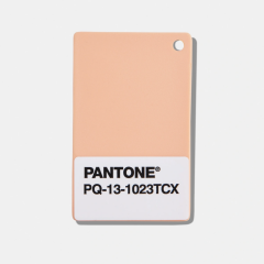 PLASTIC CHIP PANTONE COLOR OF THE YEAR 2024, 13-1023 PEACCH FUZZ