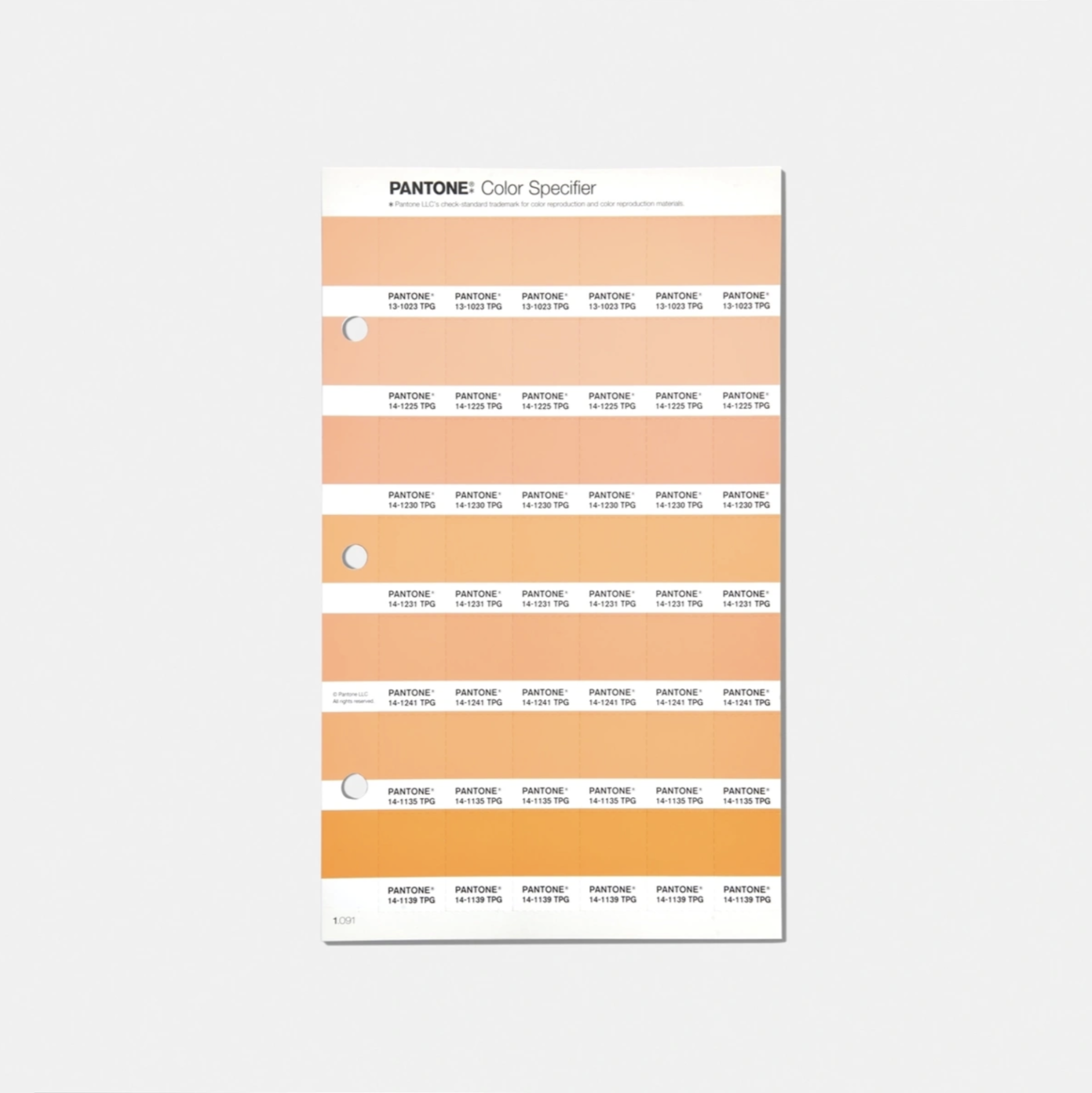 FHI COLOR SPECIFIER REPLACEMENT PAGE, COLOR OF THE YEAR 2024
