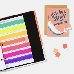 PASTELS & NEONS CHIPS | COATED & UNCOATED (FORMER EDITION)
