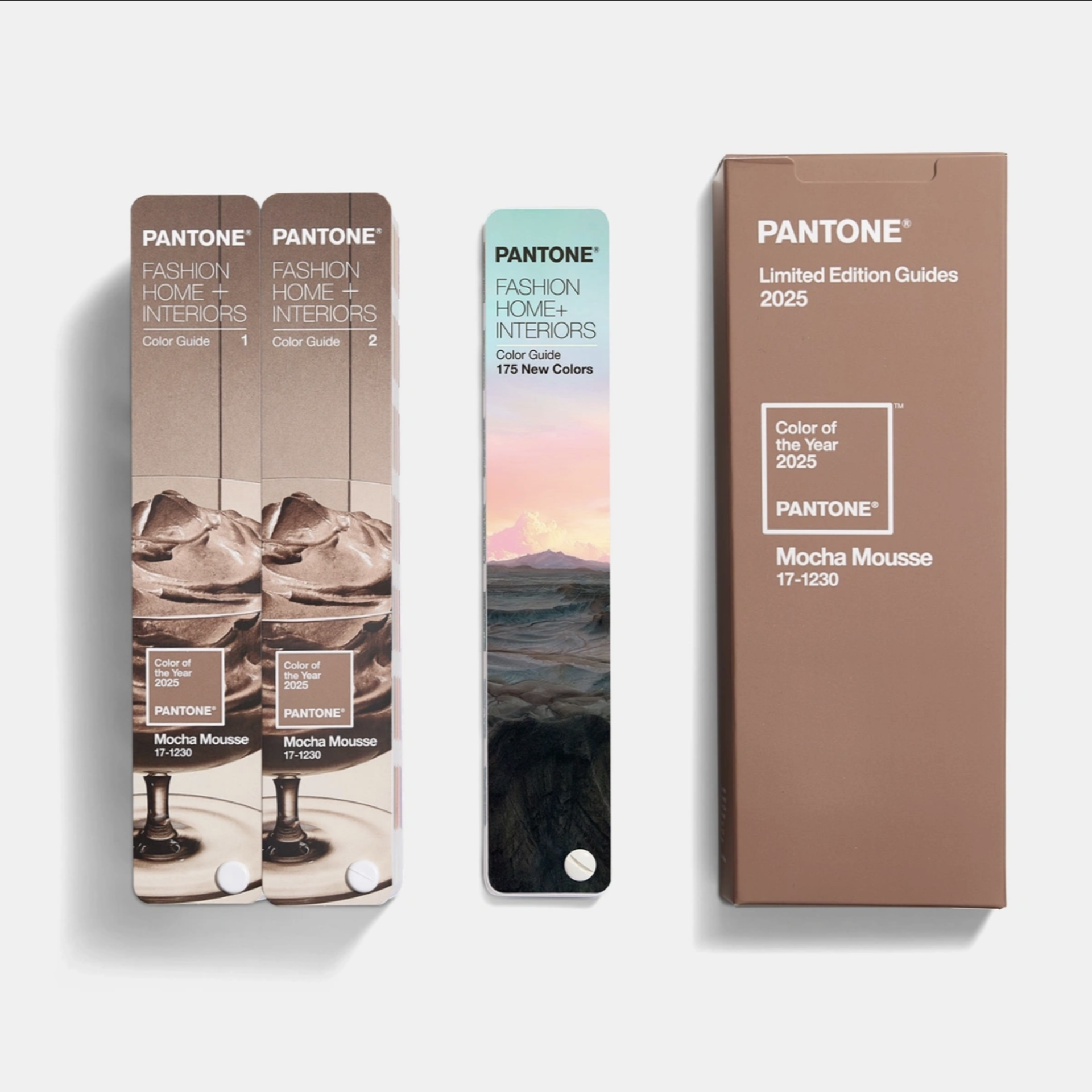 KAHVE KÖPÜĞÜ (MOCHA MOUSSE) COLOR GUIDE, LIMITED EDITION COLOR OF THE YEAR 2025