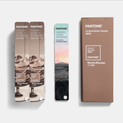 KAHVE KÖPÜĞÜ (MOCHA MOUSSE) COLOR GUIDE, LIMITED EDITION COLOR OF THE YEAR 2025