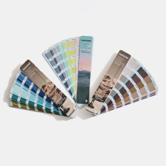KAHVE KÖPÜĞÜ (MOCHA MOUSSE) COLOR GUIDE, LIMITED EDITION COLOR OF THE YEAR 2025