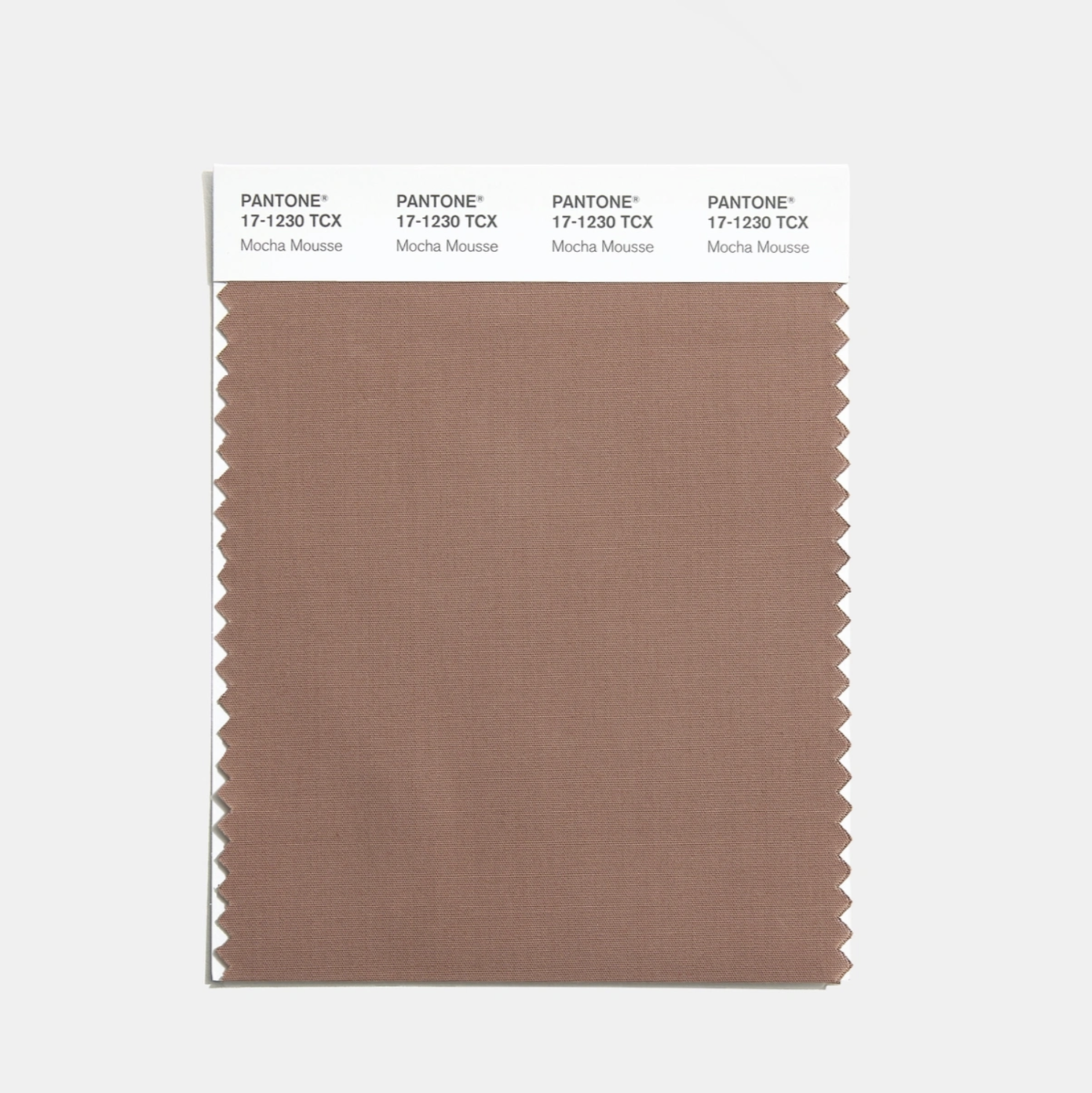 KAHVE KÖPÜĞÜ (MOCHA MOUSSE) COTTON SWATCH CARDS, PANTONE COLOR OF THE YEAR 2025
