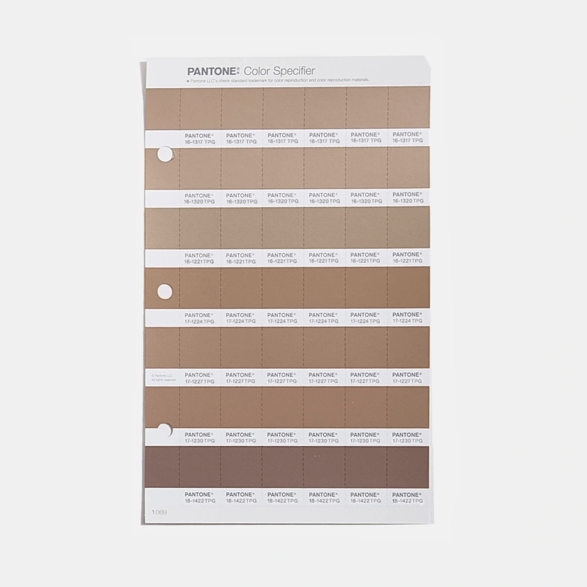 KAHVE KÖPÜĞÜ (MOCHA MOUSSE) FHI COLOR SPECİFİER REPLACEMENT PAGE, PANTONE COLOR OF THE YEAR 2025
